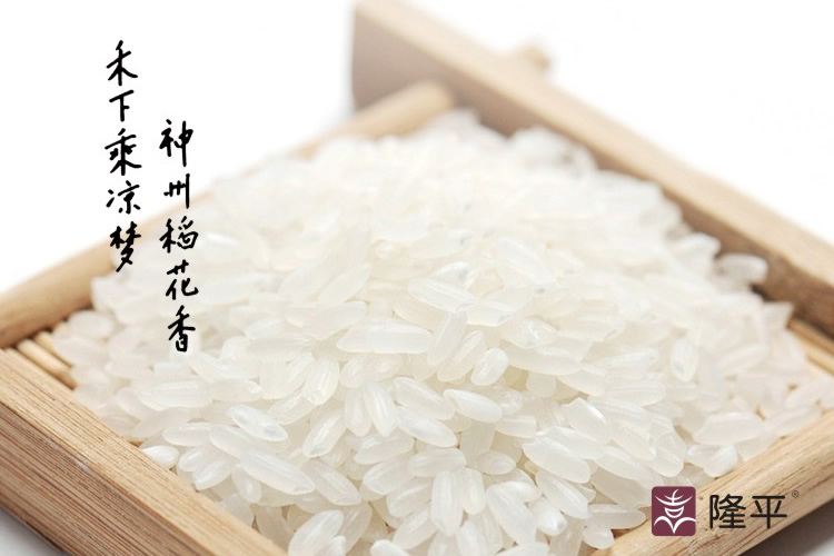 隆平大米包裝設(shè)計(jì),隆平大米畫(huà)冊(cè)設(shè)計(jì)