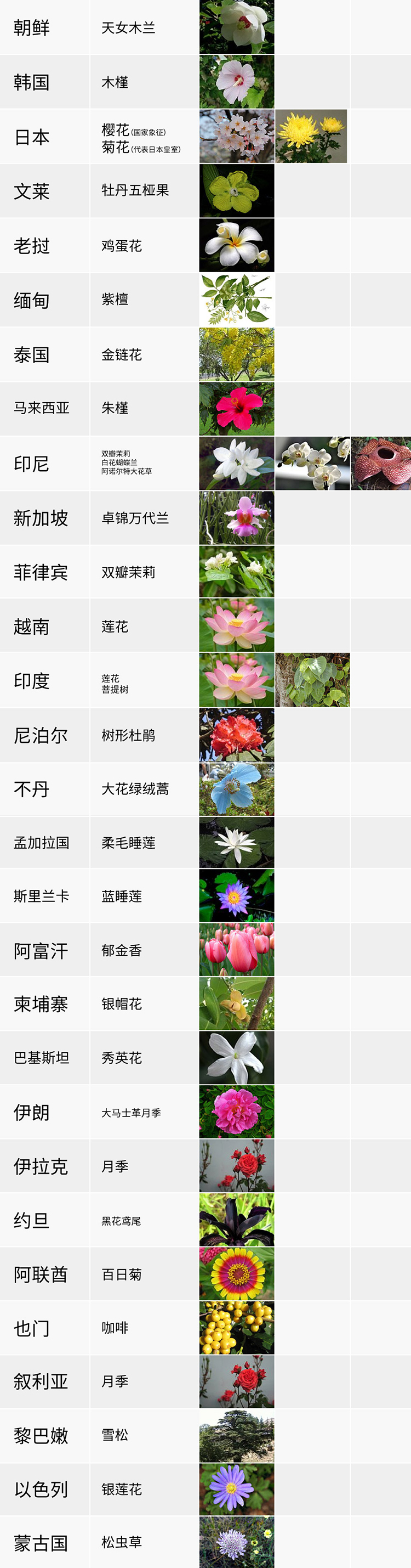 國(guó)花,生活,創(chuàng)意,設(shè)計(jì),全力設(shè)計(jì)