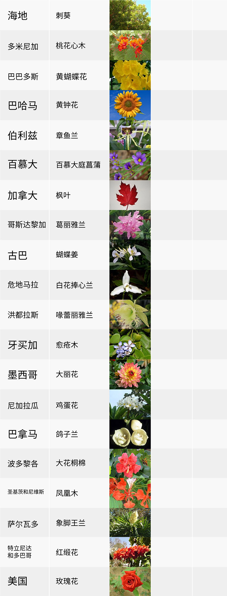 國(guó)花,生活,創(chuàng)意,設(shè)計(jì),全力設(shè)計(jì)