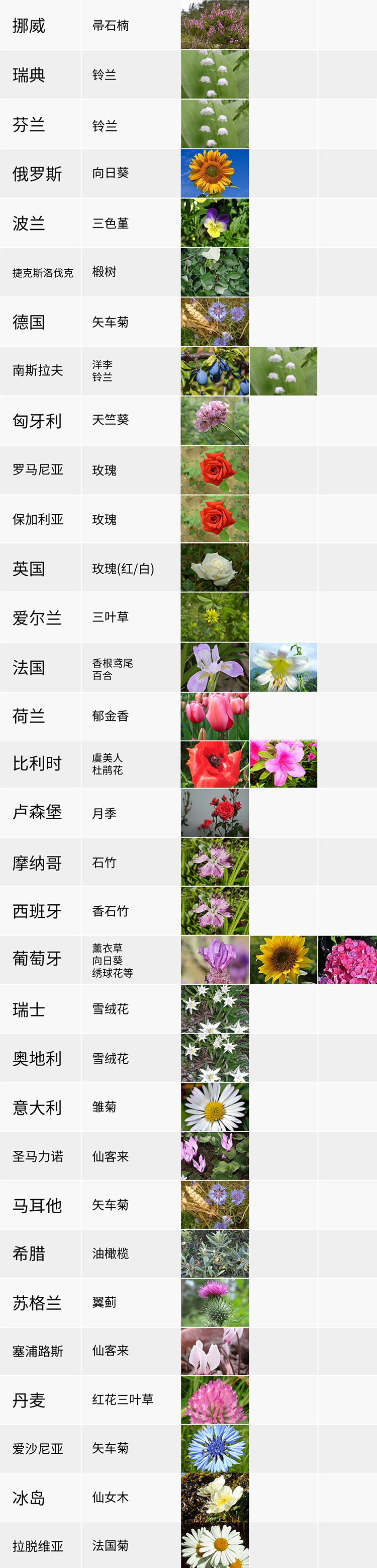 國(guó)花,生活,創(chuàng)意,設(shè)計(jì),全力設(shè)計(jì)