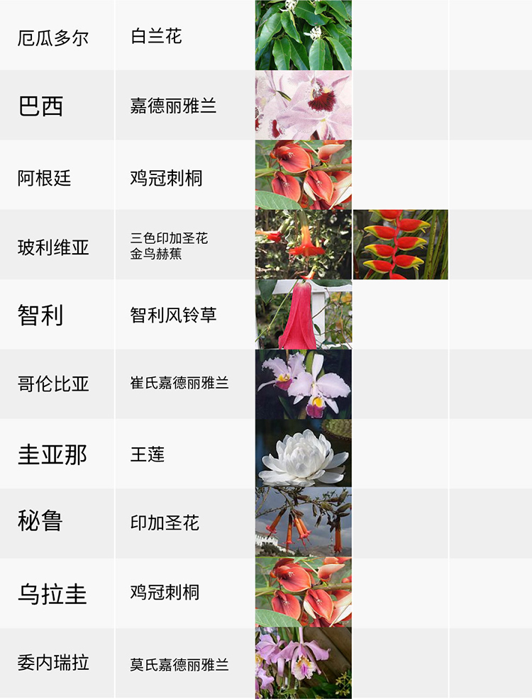 國(guó)花,生活,創(chuàng)意,設(shè)計(jì),全力設(shè)計(jì)