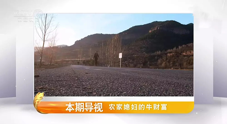 CCTV-17農(nóng)業(yè)農(nóng)村頻道LOGO,CCTV-17農(nóng)業(yè)農(nóng)村頻道標(biāo)志,CCTV-17農(nóng)業(yè)農(nóng)村頻道品牌形象設(shè)計