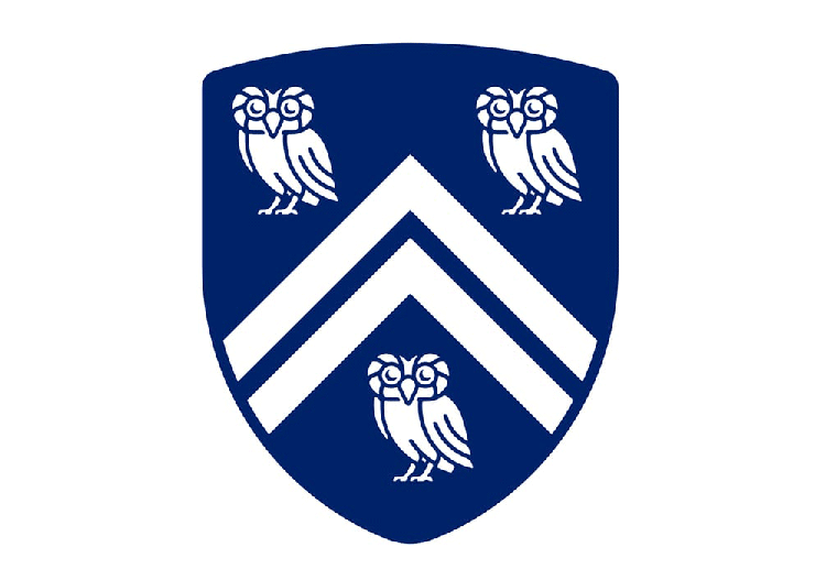 美國(guó)萊斯,大學(xué),LOGO,設(shè)計(jì)