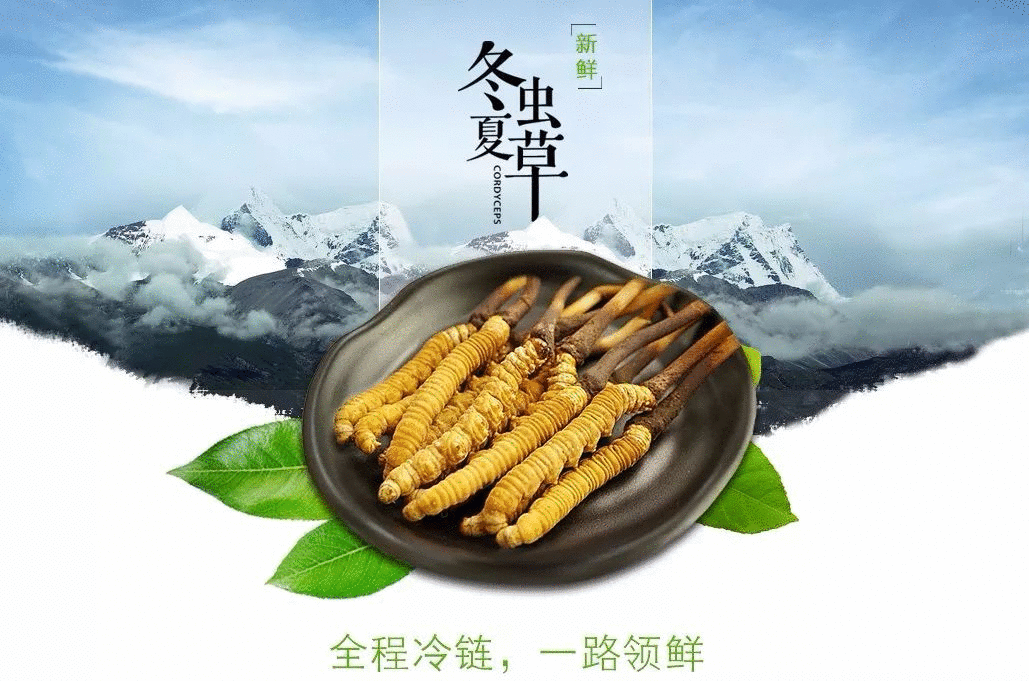 賣點,產(chǎn)品,創(chuàng)意,策劃