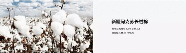 賣點,產(chǎn)品,創(chuàng)意,策劃