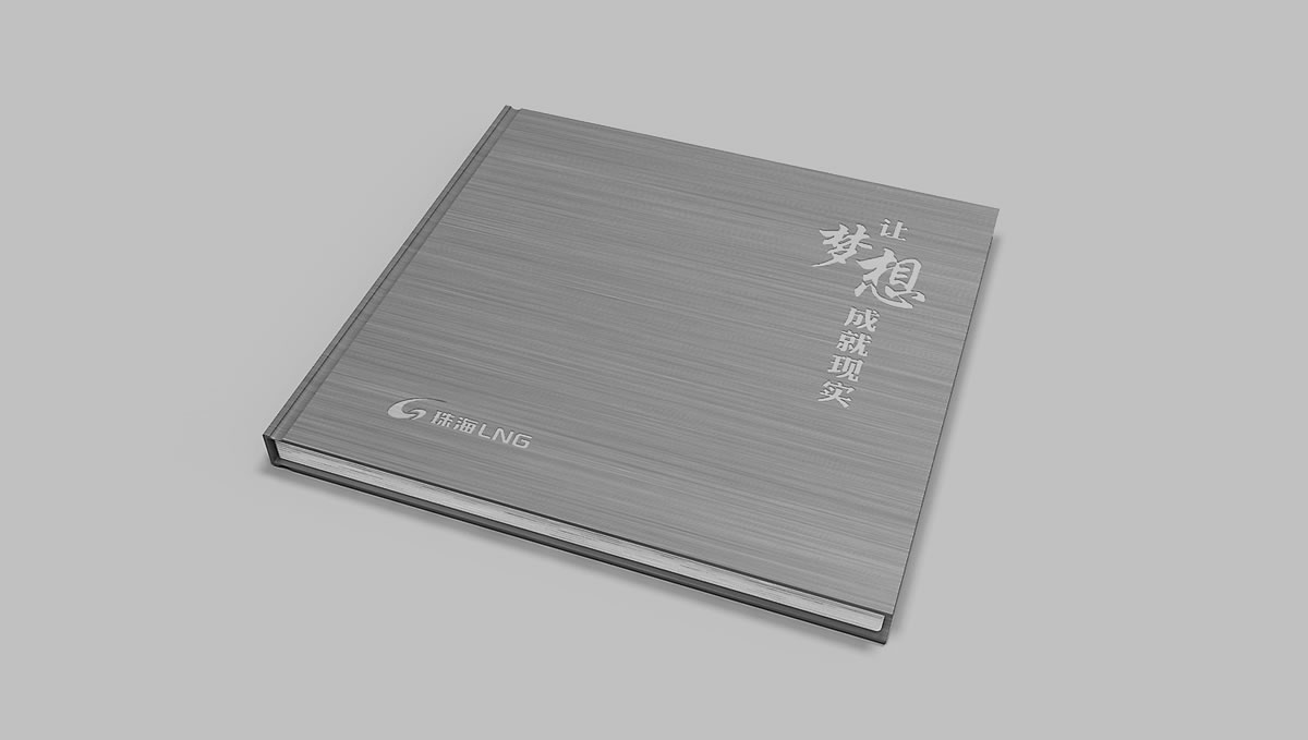 珠海LNG商標(biāo)設(shè)計(jì),珠海LNG logo設(shè)計(jì),珠海LNG畫(huà)冊(cè)設(shè)計(jì)