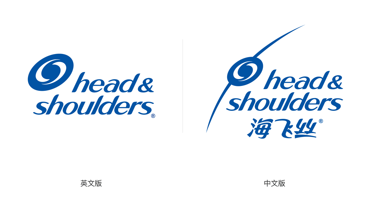 海飛絲LOGO,海飛絲標志,海飛絲品牌形象設計,洗發(fā)水品牌設計,洗發(fā)水標志